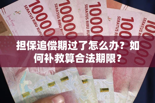 济南担保追偿期过了怎么办？如何补救算合法期限？
