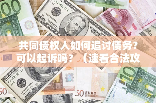 济南共同债权人如何追讨债务？可以起诉吗？（速看合法攻略）